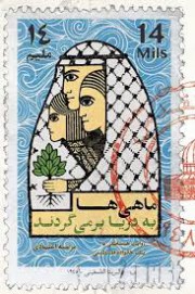 ماهی ها به دریا برمی گردند